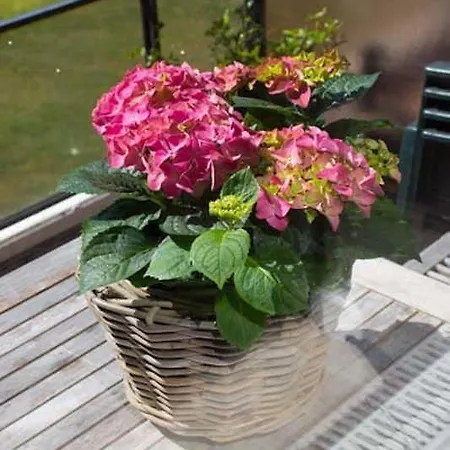 Apartment Nr. 22 Sankt Peter-Ording